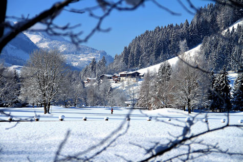 weihnachten wolfgang ambros